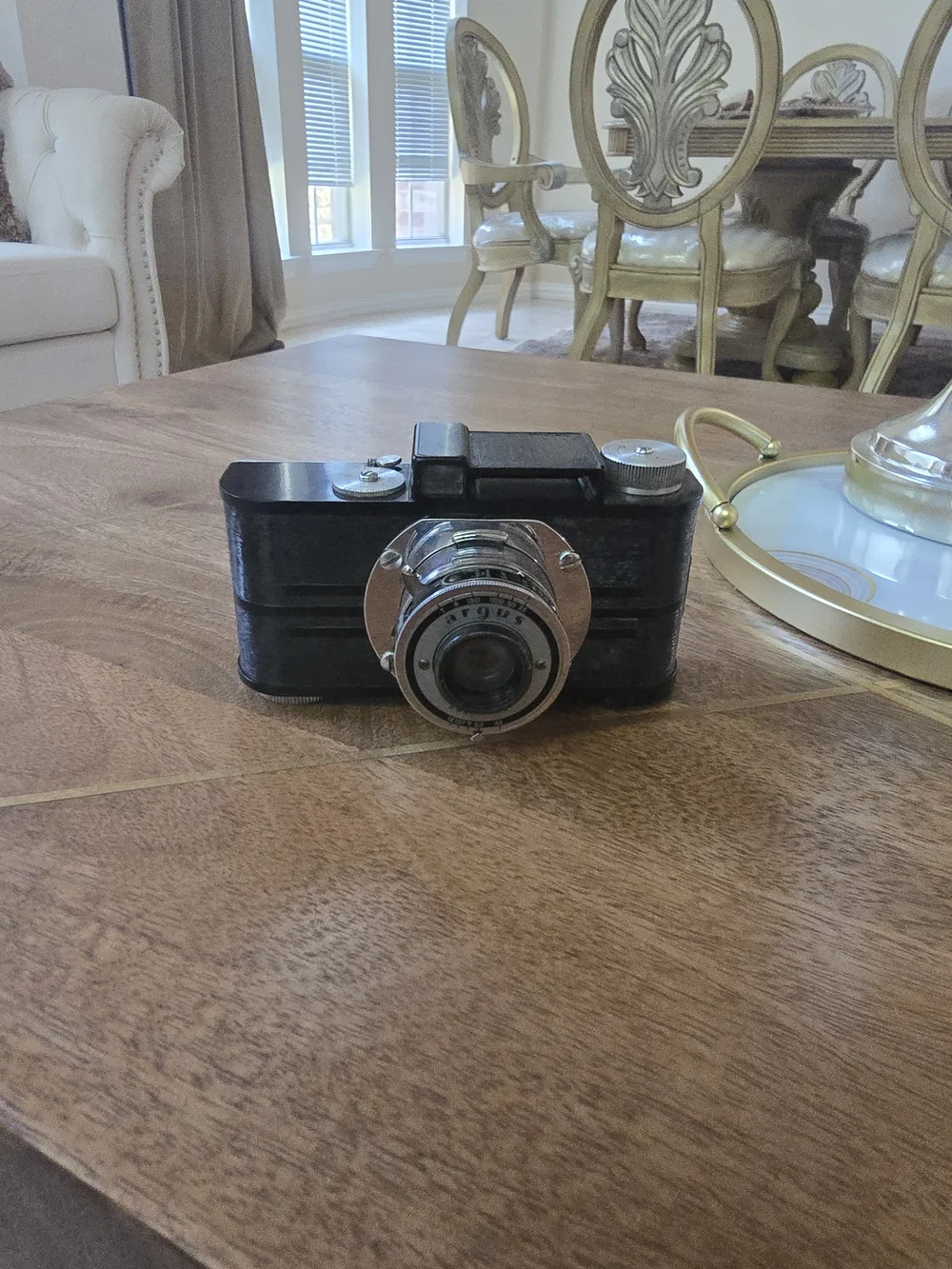 Kodak Black Camera with Silver Lens
